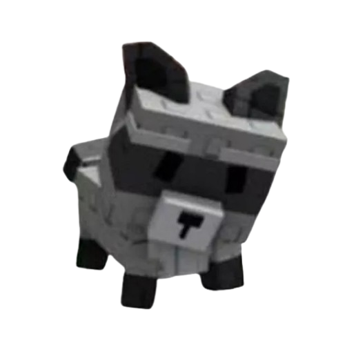 Raccoon
