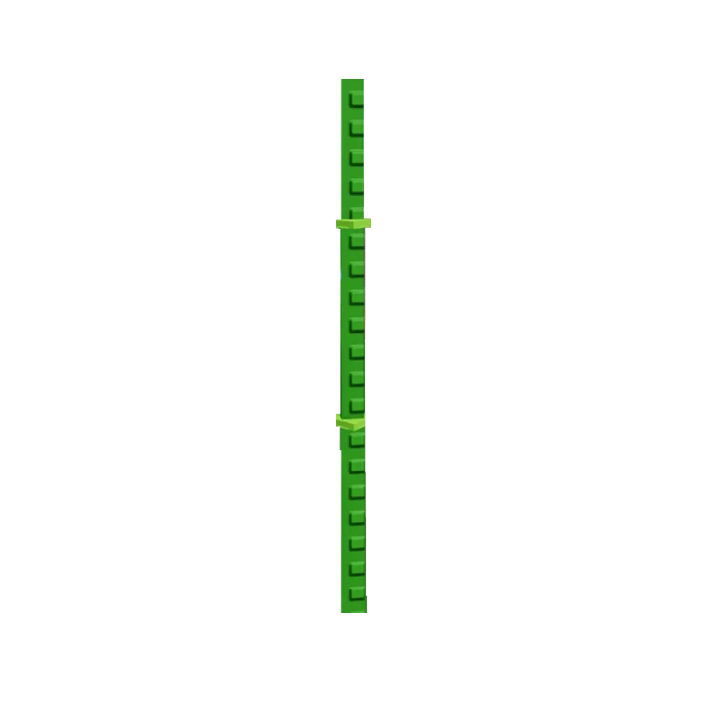 Bamboo